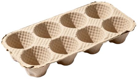 bandejas de pulpa moldeada para huevos NTC 2507